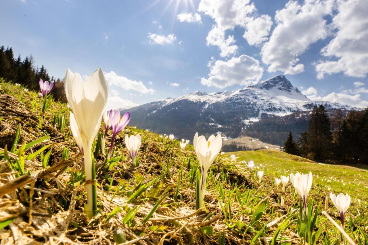 Apart Heimatliebe Nauders Buitenkant foto